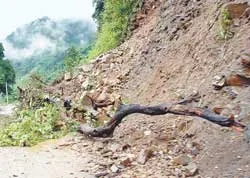 Áp thấp nhiệt đới đã mạnh lên thành bão số 6