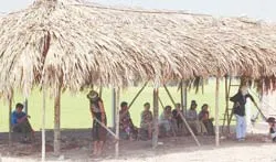 Khoảng 80% lượng người rời khỏi “Khu vườn kỳ lạ”