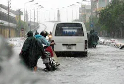 Nhiều tuyến đê biển bị vỡ