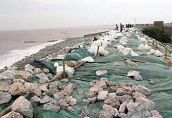 Nhiều tuyến đê biển bị vỡ ảnh 2