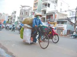 Những người đạp xe chở bao “xác rắn”