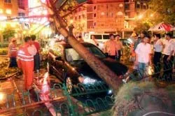 Lở đất lớn, chôn vùi hai tòa nhà của học viện quân sự