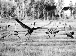 Cần giải pháp bền vững