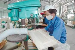 Nhận diện những cản ngại khi gia nhập WTO