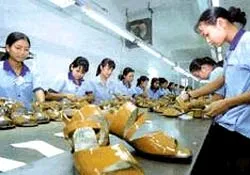 EU sẽ nghiên cứu kỹ giá thành hàng da giày VN