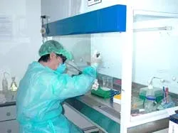 Nhận dạng các loại virus cúm