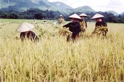 Chuyện ghi trên đỉnh Khau Hán