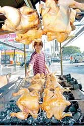 Thế giới nỗ lực phòng chống cúm gia cầm