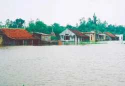 Nỗi đau nơi lũ lụt