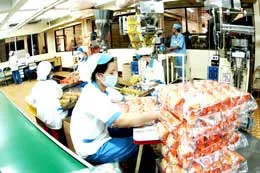 Đang chờ làn gió mới