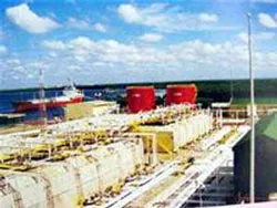 Đình chỉ công tác một Vụ phó Thanh tra Chính phủ