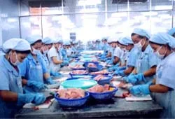 Xuất khẩu thủy sản sang Nga tăng 100%