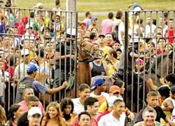 75.000 người đi xem Brazil tập ảnh 1