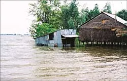 Không khí lạnh tràn về Bắc bộ