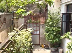 Tại… không hiểu luật