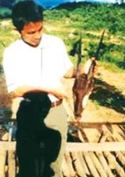 Tiếng kêu vô vọng