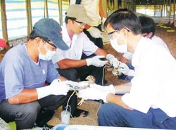 Nhiều bất cập phải được khắc phục ngay