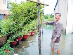 Đê vỡ... vì dự án “chạy” chậm!