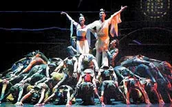 Hoa Mộc Lan kết hợp Đông -Tây