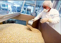 Chuyển nhượng giấy phép sản xuất Tamiflu