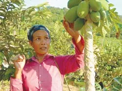 Cắt đứt hủ tục “nối dây”