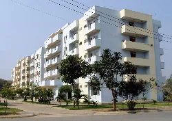 Cần phải xã hội hóa