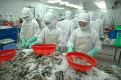 Thủy sản Việt Nam mở rộng thị trường châu Á