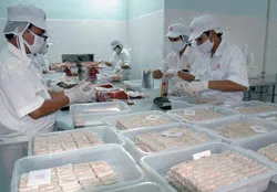 Các doanh nghiệp tăng tốc lo hàng tết