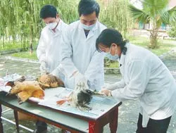 Triển khai hành động khẩn cấp toàn quốc