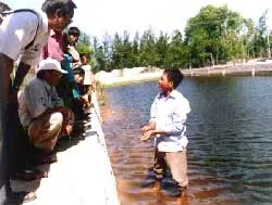 Nỗi buồn... ba ba