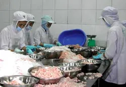 Camimex chuẩn bị bán đấu giá 600.000 cổ phiếu