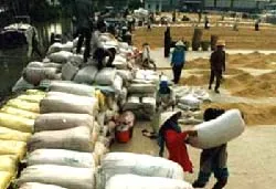 Tháng 11, giá lương thực sẽ giảm nhẹ