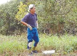 Sang Mỹ làm nghề nông