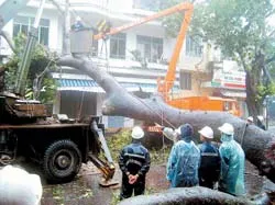 Khẩn trương khắc phục hậu quả bão số 8