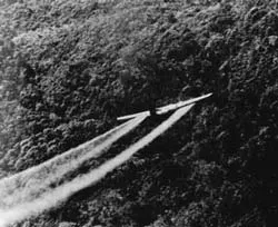 Chất dioxin có tác hại nghiêm trọng đến sức khỏe con người ở Việt Nam