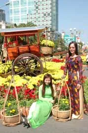 Dự thảo báo cáo Chính trị tại Đại Hội Đảng Bộ Thành Phố Hồ Chí Minh Lần Thứ VIII ảnh 3