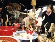 Chưa thấy quan tài...