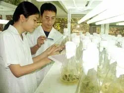 Thu hút chất xám để phát triển khoa học công nghệ