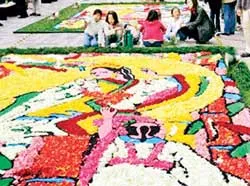 Kể chuyện cổ tích bằng thảm hoa