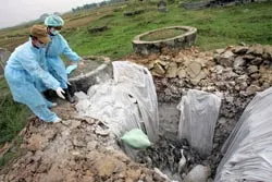 Thiệt hại do cúm gia cầm có thể lên tới 800 tỷ USD