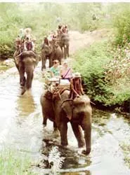 Du lịch Việt Nam đón người khách thứ 3 triệu