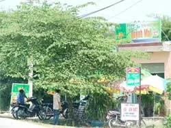 Cá độ bóng đá tràn về ngoại thành