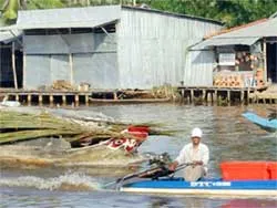 Ai về Miệt thứ