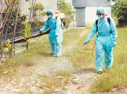 Phòng chống dịch cúm gia cầm là nhiệm vụ trọng tâm hiện nay