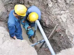 Phải đảm bảo yêu cầu về chất lượng và tiến độ