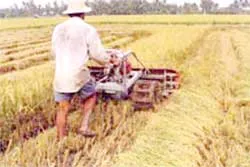 Xây dựng nền nông nghiệp có hàm lượng khoa học cao