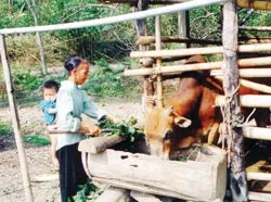 Mường Lống bình yên dưới cổng trời