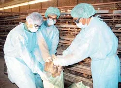 Ghi nhận trước “giờ G”