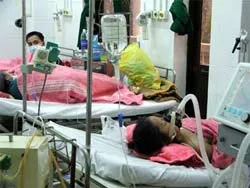 Chính thức ban hành phác đồ điều trị mới chống cúm type A H5N1