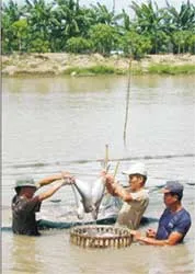 Chuyện chưa biết về những người thầy